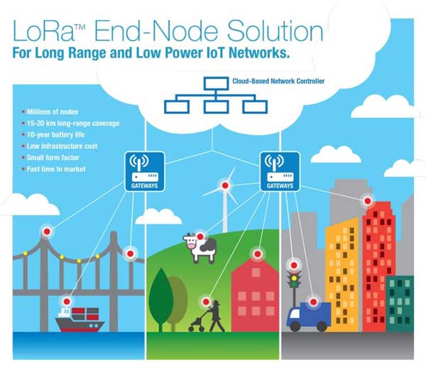 LoRa End-Node Infographic